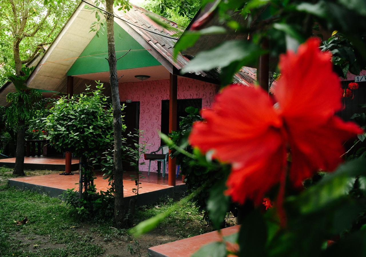 Coral Bungalows Hat Rin Buitenkant foto